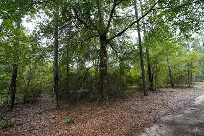 817 N Planters Drive N, Laurel Hill, FL 32567 - Photo 14