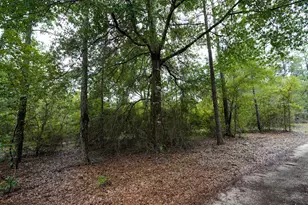 817 N Planters Dr N, Laurel Hill, FL 32567 - Photo 14