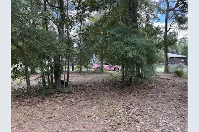 188 Palmetto Avenue, Freeport, FL 32439 - Photo 1