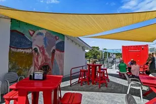 233 Redfish Cir, Santa Rosa Beach, FL 32459 - Photo 58