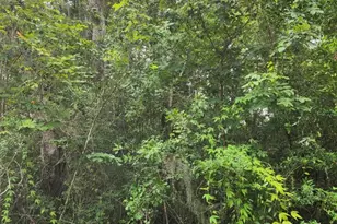 Lot 8 5th St, Santa Rosa Beach, FL 32459 - Photo 1