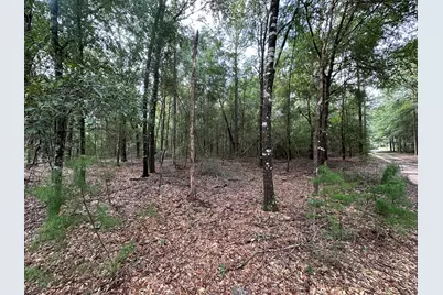 5800 Block Pineforest Drive, Crestview, FL 32539 - Photo 16