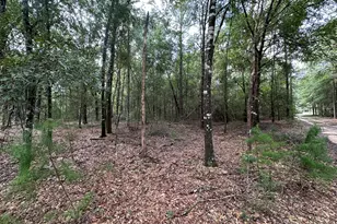 5800 Block Pineforest Dr, Crestview, FL 32539 - Photo 16