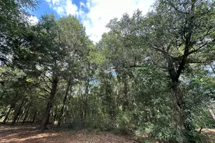 5800 Block Pineforest Dr, Crestview, FL 32539 - Photo 20