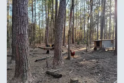 600 Jasper Floyd Road, Ponce de Leon, FL 32455 - Photo 14