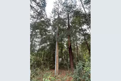 Lot 123 Eagle Court, Crestview, FL 32539 - Photo 22