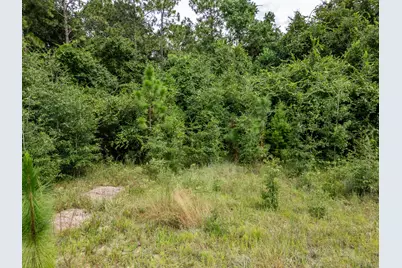 Lot 123 Eagle Court, Crestview, FL 32539 - Photo 10