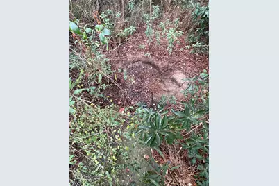 Lot 123 Eagle Court, Crestview, FL 32539 - Photo 16