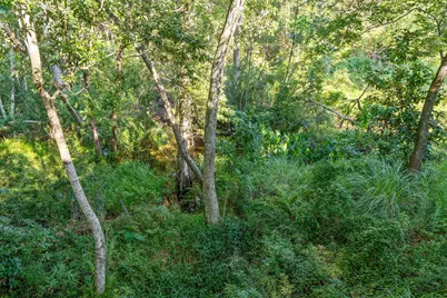 229 Hillside Drive, Niceville, FL 32578 - Photo 38