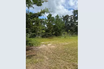 Tbd Black Creek Lodge Road, Freeport, FL 32439 - Photo 8