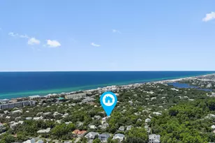 225 Clareon Dr, Inlet Beach, FL 32461 - Photo 70