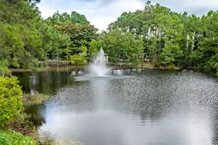 12 Corte Lago, Santa Rosa Beach, FL 32459 - Photo 42