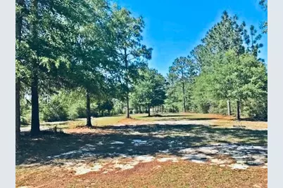 Lot 33 Caswell Drive, Defuniak Springs, FL 32433 - Photo 6
