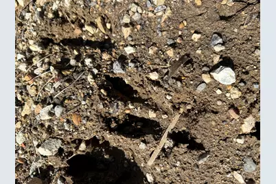 Tract#6402 N Chance Road, Chipley, FL 32428 - Photo 2