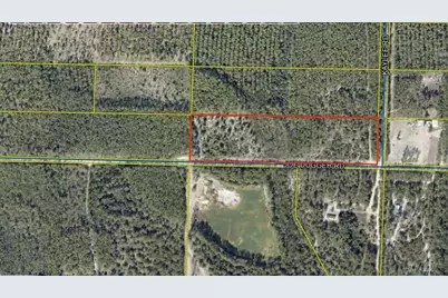 10 Acres Joe Duggar Road, Freeport, FL 32439 - Photo 1