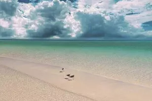 1952 Scenic Gulf Dr, Miramar Beach, FL 32550 - Photo 28