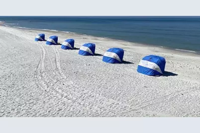 201 Park Point Circle, Cape San Blas, FL 32456 - Photo 68