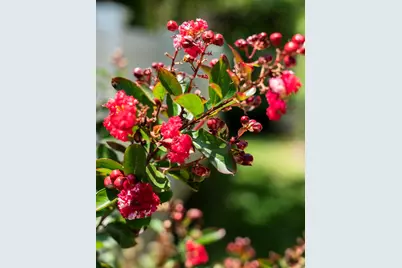 11 Tristram Way, Miramar Beach, FL 32550 - Photo 44