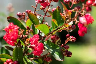 11 Tristram Way, Miramar Beach, FL 32550 - Photo 44