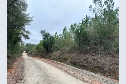 Tract#6418 S Bryant Bay Road, Caryville, FL 32427 - Photo 4