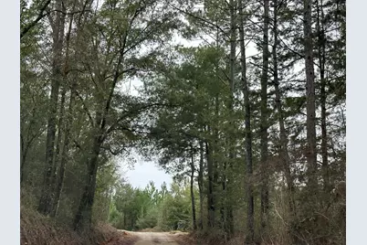 Tract#6418 S Bryant Bay Road, Caryville, FL 32427 - Photo 1