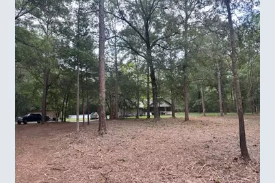 1303 Hwy 179A, Westville, FL 32464 - Photo 2