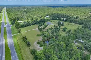 19618 Hwy 231, Fountain, FL 32438 - Photo 60
