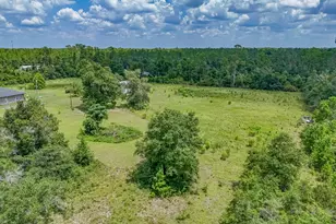 19618 Hwy 231, Fountain, FL 32438 - Photo 74