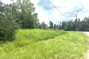 12239 Burke Rd, Fountain, FL 32438 - Photo 6