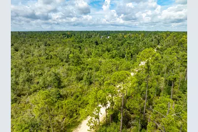 Xxx Webber Road, Fountain, FL 32438 - Photo 12
