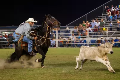 Parcel B Hwy 177A, Bonifay, FL 32425 - Photo 12