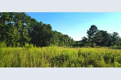 Parcel B Hwy 177A, Bonifay, FL 32425 - Photo 6
