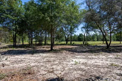 150 Janice Lane, Crestview, FL 32539 - Photo 18