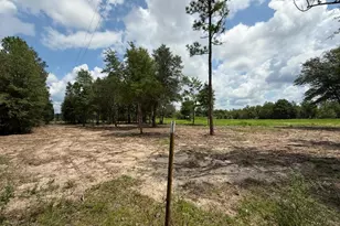 150 Janice Ln, Crestview, FL 32539 - Photo 10