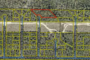 1 Acre Shellbark Ln, Defuniak Springs, FL 32433 - Photo 1