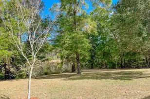 462 Mango Ln, Freeport, FL 32439 - Photo 38