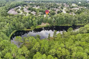 462 Mango Ln, Freeport, FL 32439 - Photo 34