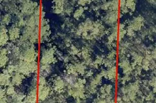 Xxx Foxmire Farm Rd, Santa Rosa Beach, FL 32459 - Photo 1