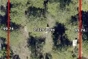 Xxx Tangerine St, Defuniak Springs, FL 32433 - Photo 1