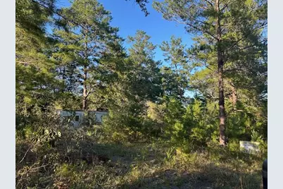 Xxx Tangerine Street, Defuniak Springs, FL 32433 - Photo 2