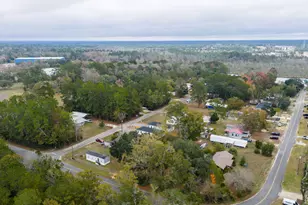 42 Eckie Dr, Freeport, FL 32439 - Photo 10