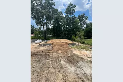 38 Eckie Drive, Freeport, FL 32439 - Photo 2