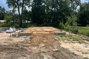 38 Eckie Dr, Freeport, FL 32439 - Photo 2