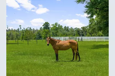 13935 Blue Springs Road, Youngstown, FL 32466 - Photo 118