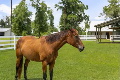 13935 Blue Springs Road, Youngstown, FL 32466 - Photo 56