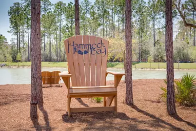 466 Brighton Cove, Freeport, FL 32439 - Photo 32