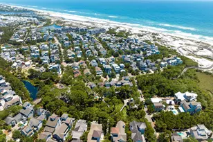 38 Shingle Ln, Inlet Beach, FL 32461 - Photo 76