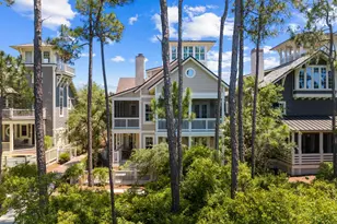 38 Shingle Ln, Inlet Beach, FL 32461 - Photo 64