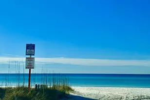 228 Walton Magnolia Ln, Inlet Beach, FL 32461 - Photo 24