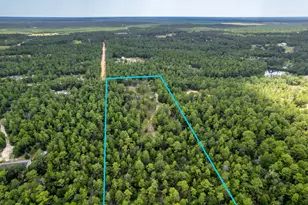 5378 Staghorn Rd, Crestview, FL 32539 - Photo 126